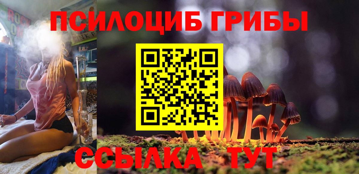 Псилоцибиновые грибы Psilocybine cubensis  Вход с VPN  Златоуст 